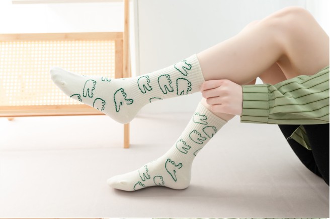 Fashion Harajuku Hip Hop Skate - Embroidery On Socks ulasan dan harga